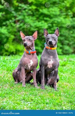 汾陽游戲點券代理加盟與網絡信息安全軟件開發 機遇與挑戰并存的新興領域